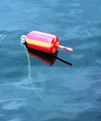 a lobster buoy in water